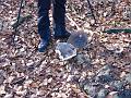 Slika_04