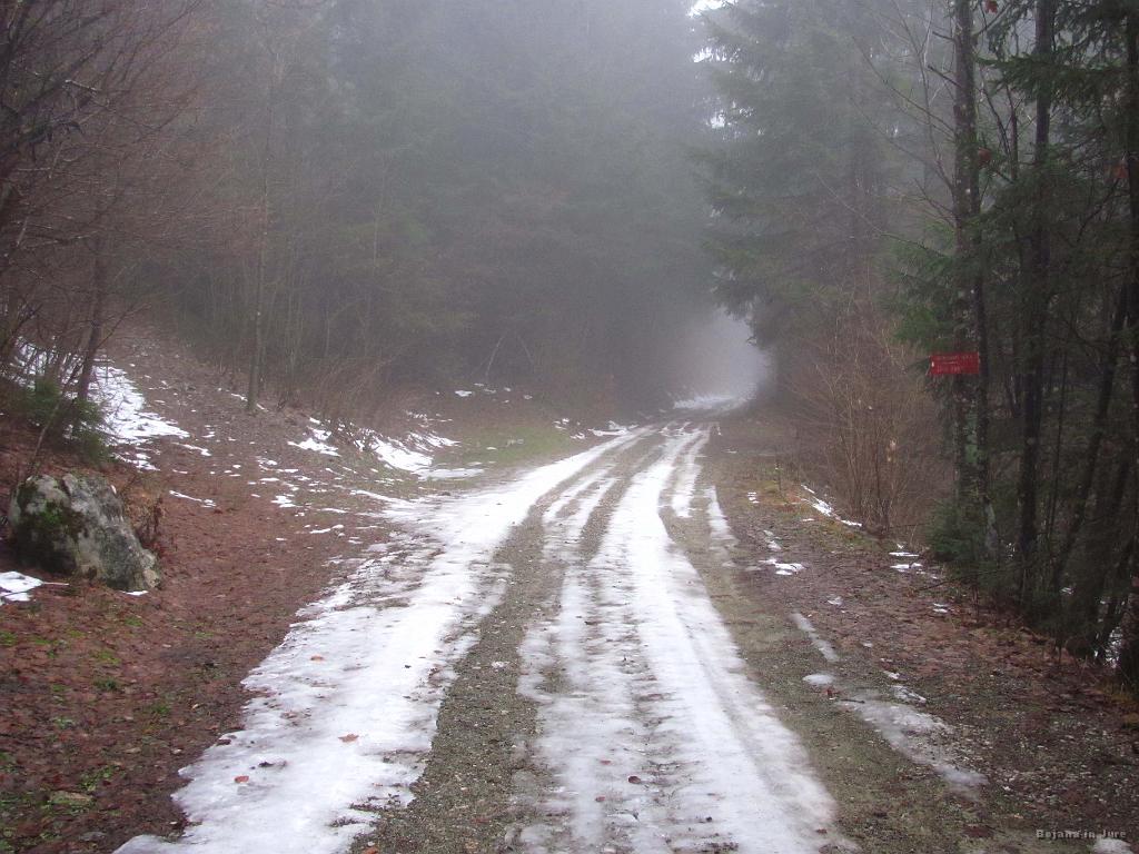 Slika_10.jpg - Gozdna cesta je rahlo poledenela. Sicer se z avtom da tudi tu in tudi parkirati se da, vendar zakaj bi...