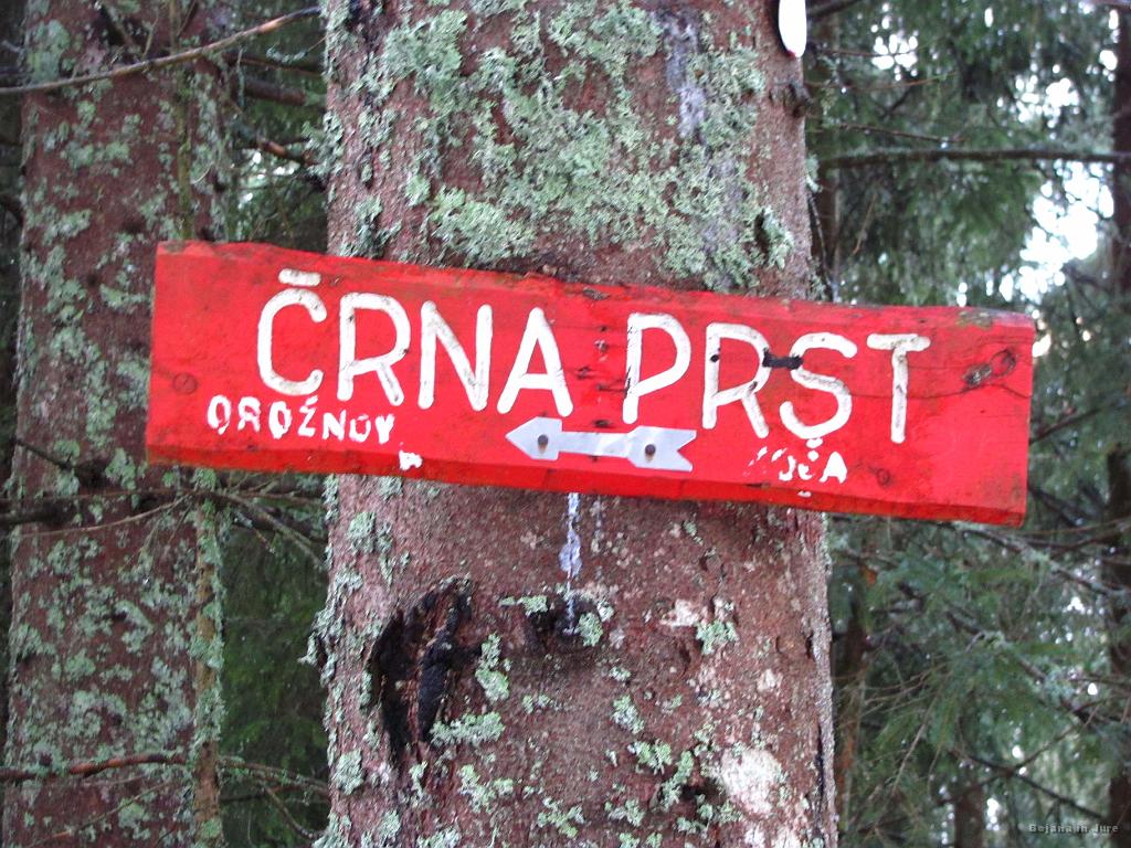 Slika_14.jpg - Zopet...izgubiti se ne moremo.