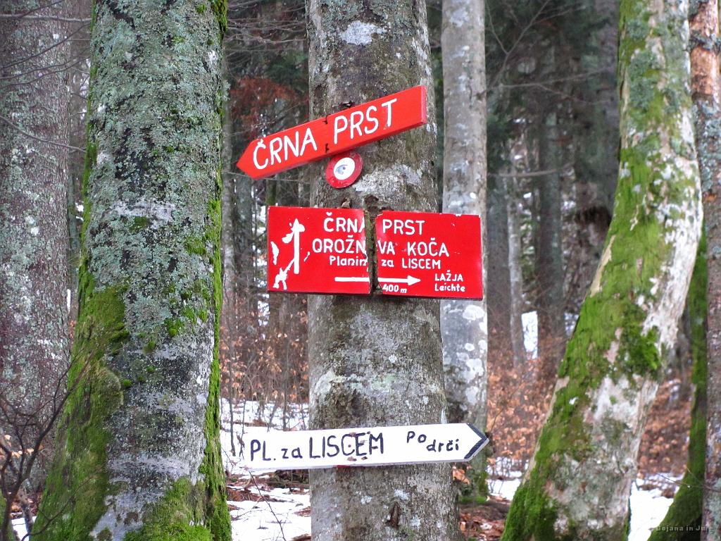 Slika_19.jpg - Razcep poti, ki vodi direkt na Črno prst in preko omenjenih koč. Zaradi lažje orientacije sva izbrala pot mimo koč.