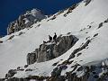 Slika_43