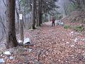Slika_87