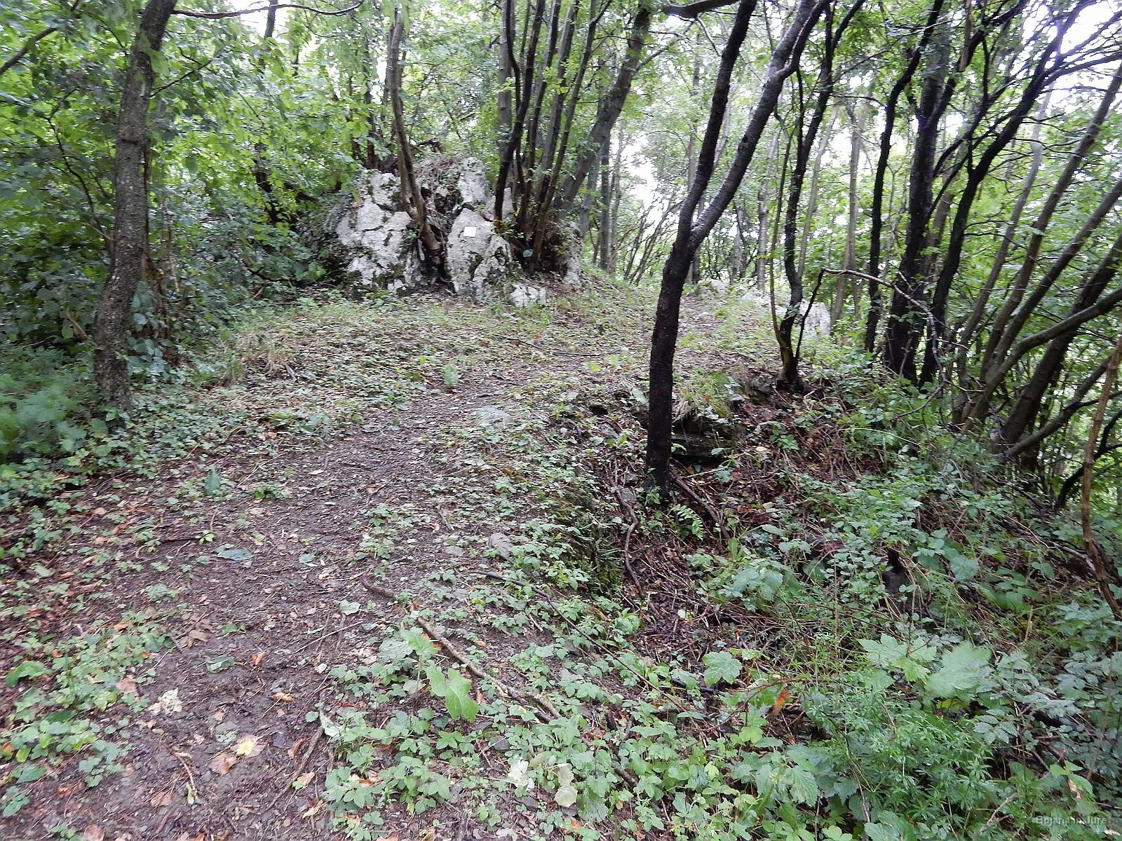 Slika 099