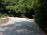 After a 30 min break we continue along the asphalt road and turn right into the woods at a sharp left bend.