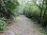 Yesterday it was hot and dry, now it was hot and humid. Comparable to Turkish sauna. The trail from Castelmonte first leads downwards, then the markings take us left and up in a sharp turn.
