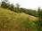 We rise to the church of St. Nicola across fields, where the humidity loses a bit of its grip.