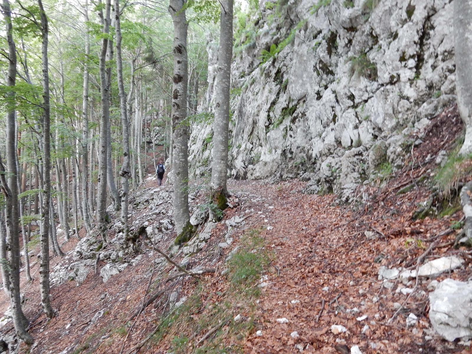 Slika 07